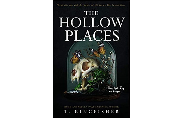 the hollow places book review