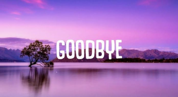 Different and Funny Ways to Say Goodbye - 34