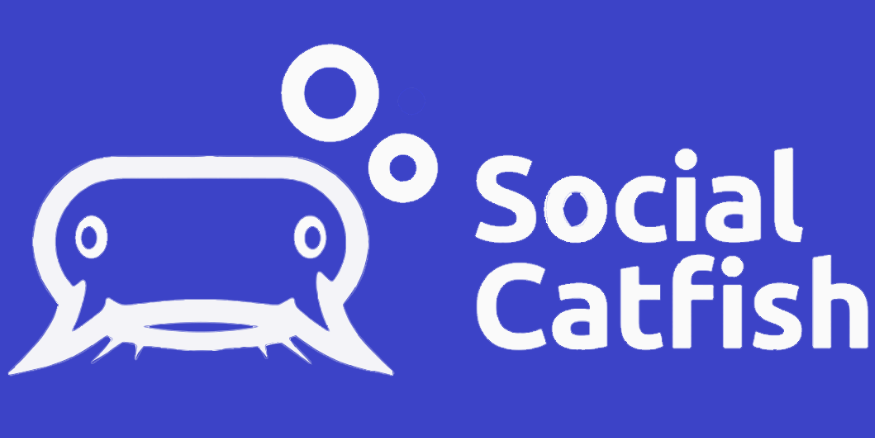 Social Catfish Review Summary