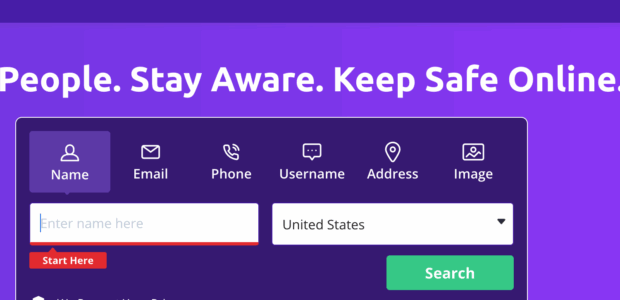 Social Catfish background check review